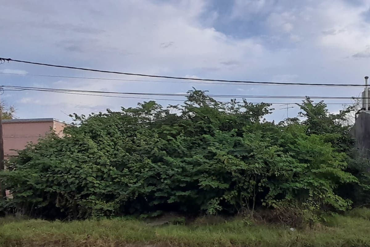 Oportunidad en Barrio La Rural: Terreno de 408 m2 con Frente Amplio y Todos los Servicios